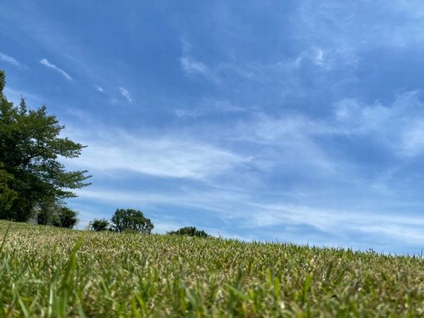 夏日